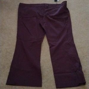 Lane Bryant The Sophie Straight Fit Pant Size 26 R Boot Cut